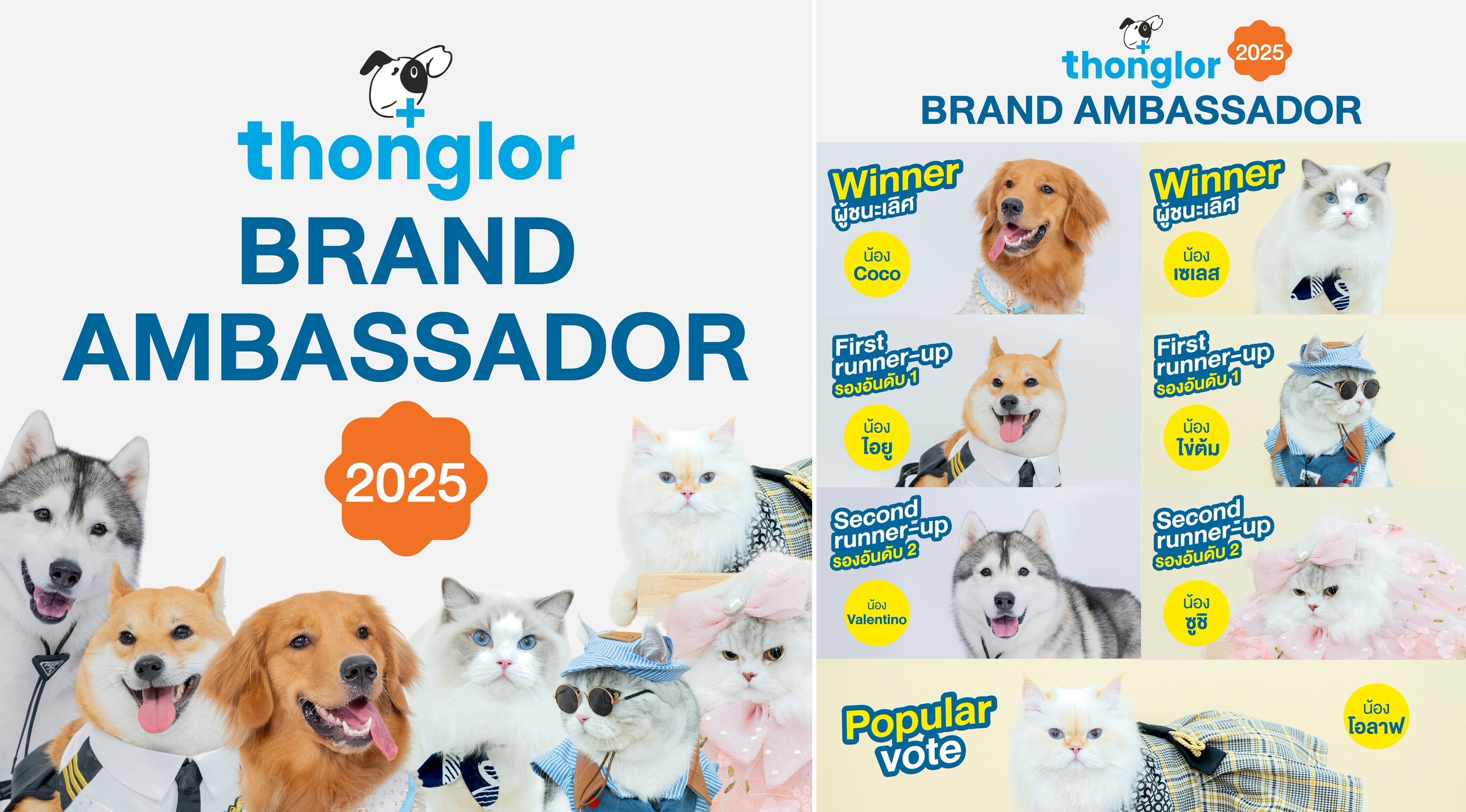 Thonglor Brand Ambassador 2025 