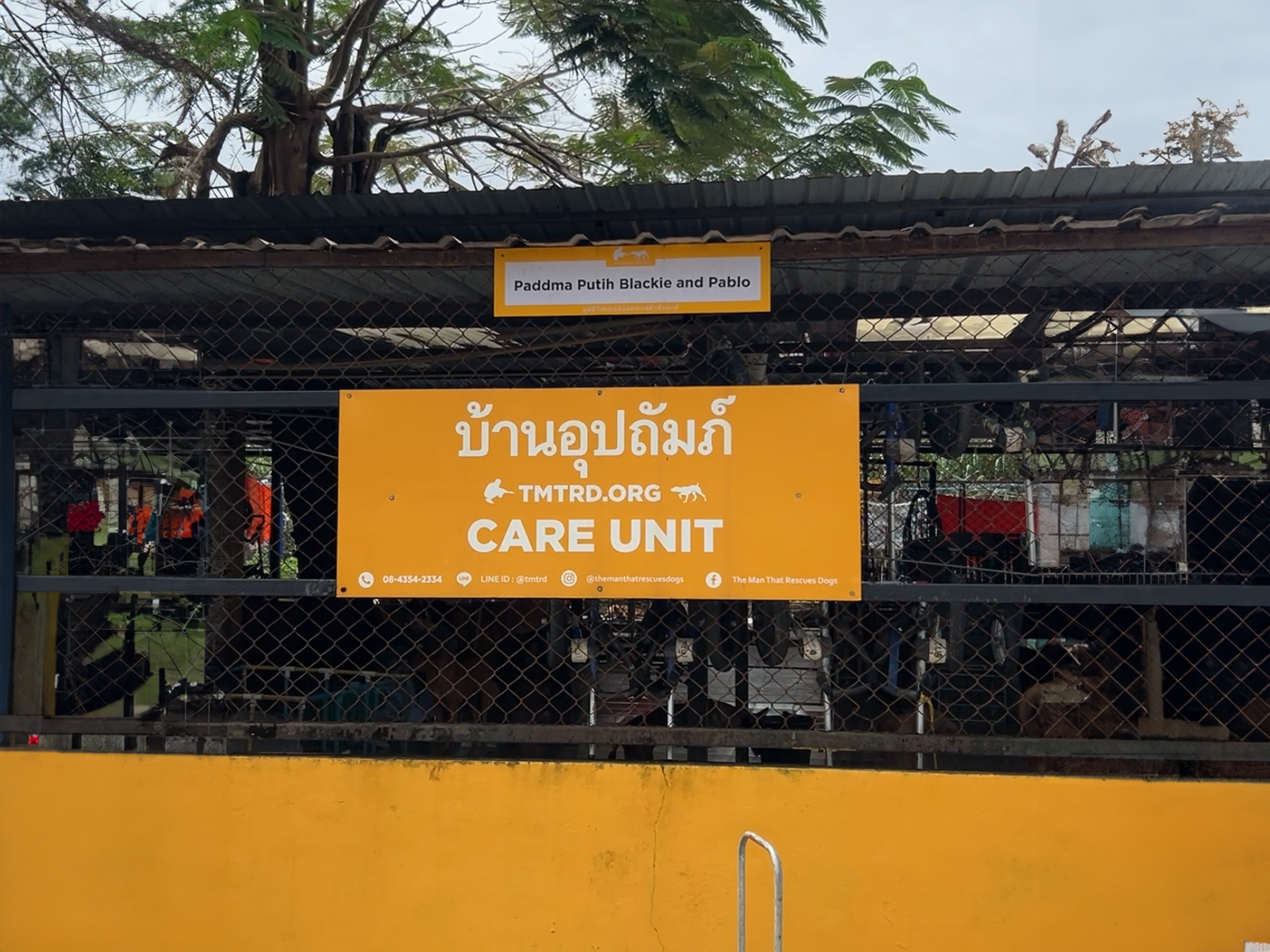 มูลนิธิ The Man That Rescues Dogs
