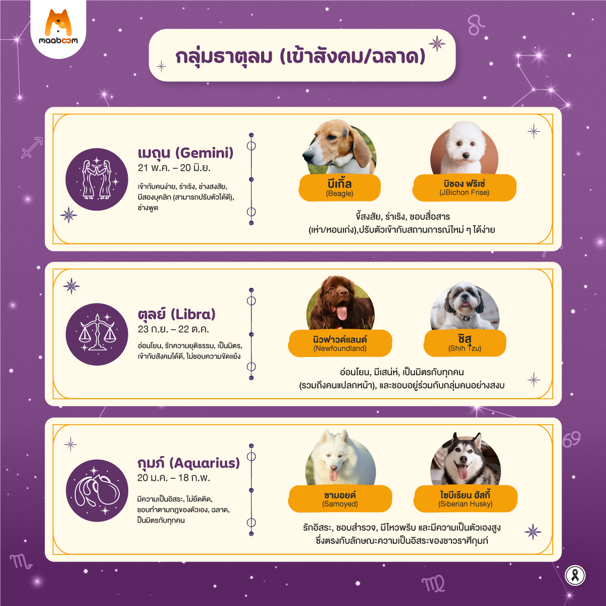 ราศีธาตุลม