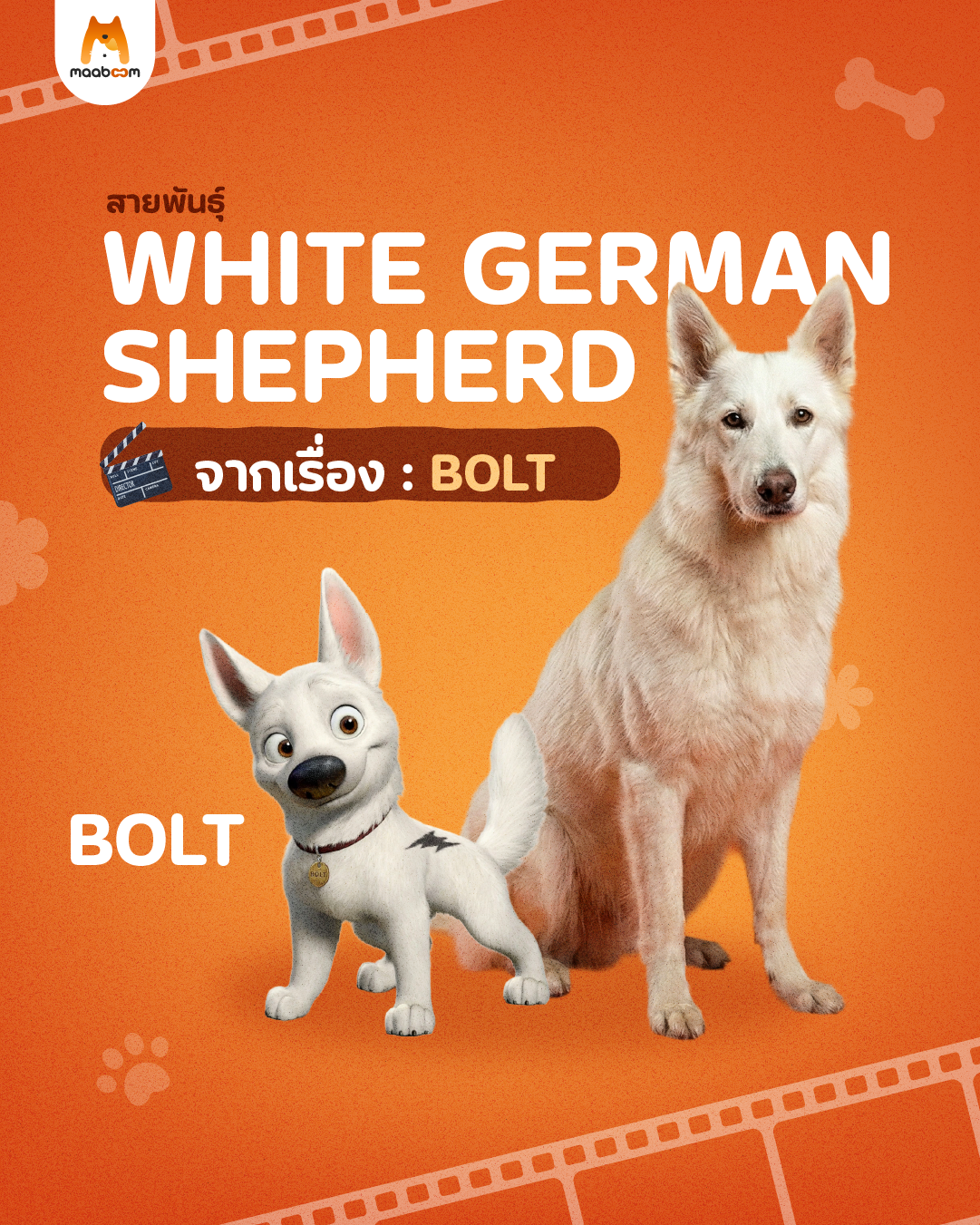 สุนัขเรื่อง Bolt
