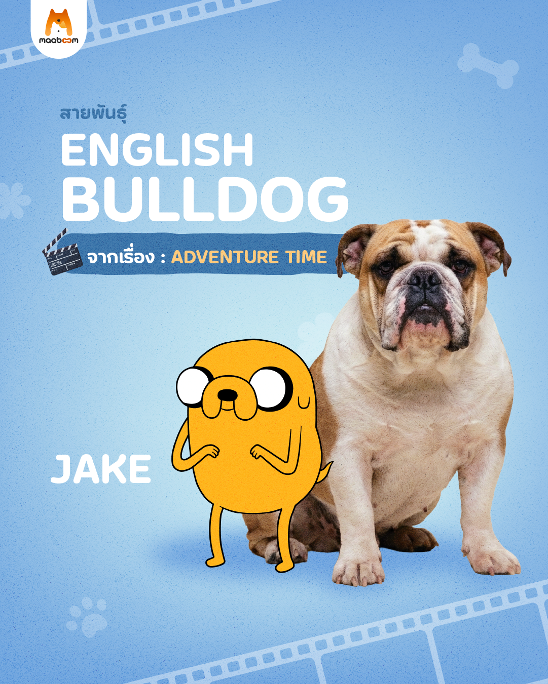 Jake สุนัขจากเรื่อง Adventure Time 