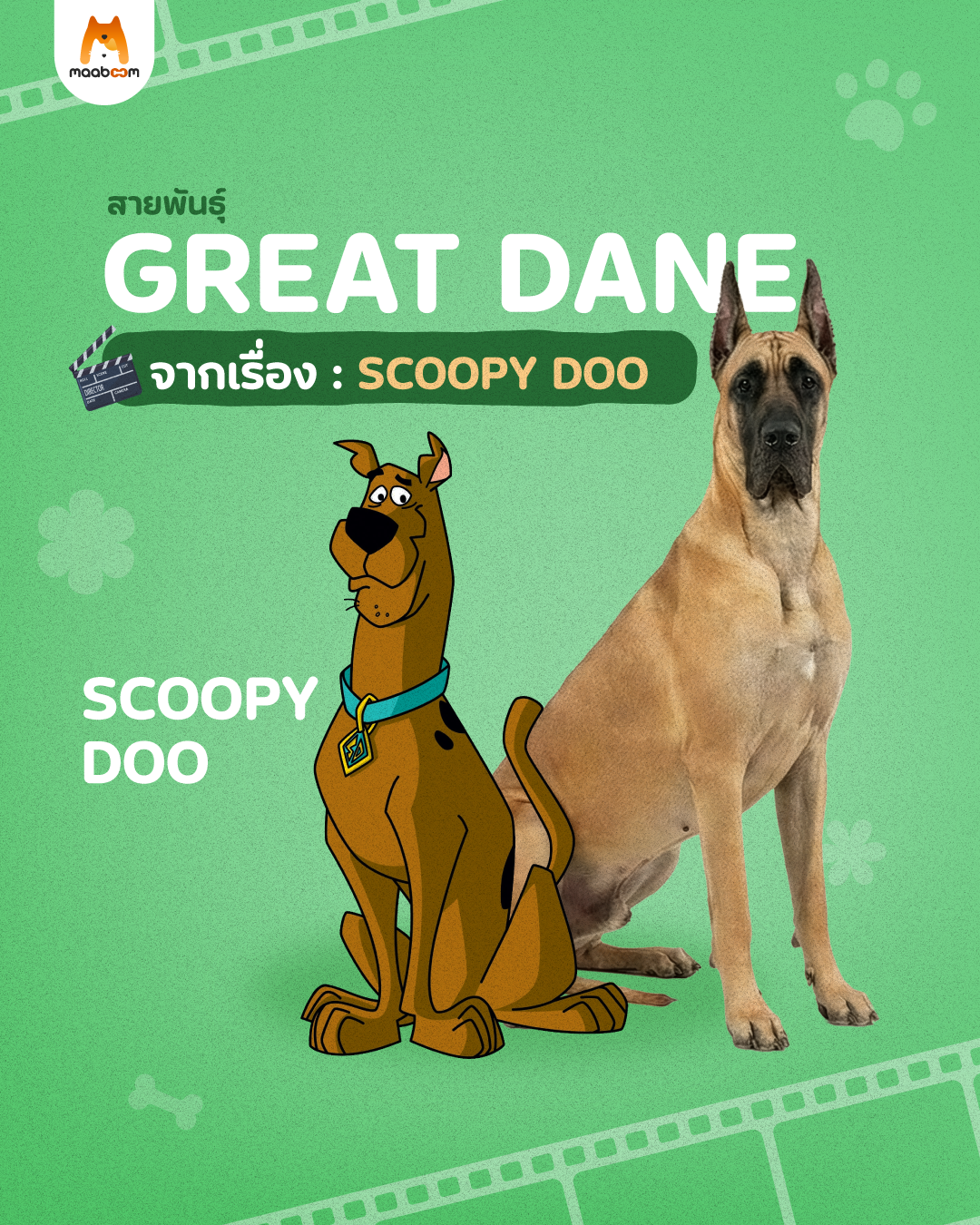 สุนัขจากเรื่อง Scoopy Doo