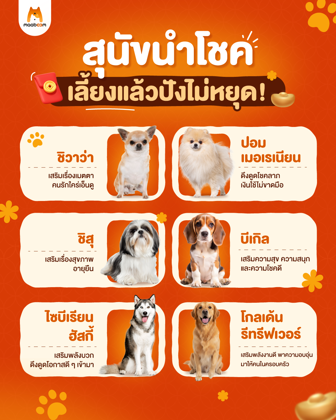 สุนัขนำโชค เลี้ยงแล้วปังไม่หยุด!