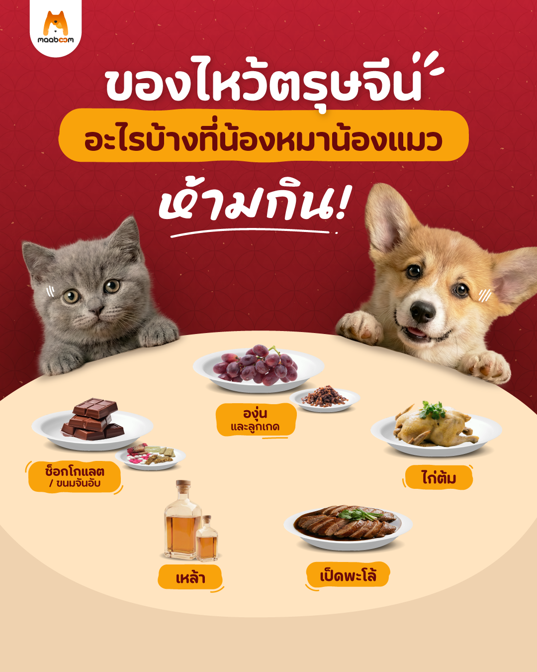 ของไหว้ตรุษจีน หมาแมว  ห้ามกิน!