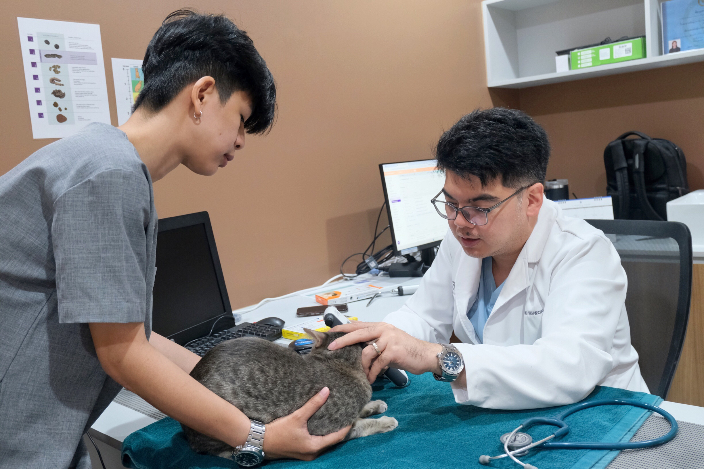 Arak animal hospital ประดิษฐ์มนูธรรม 