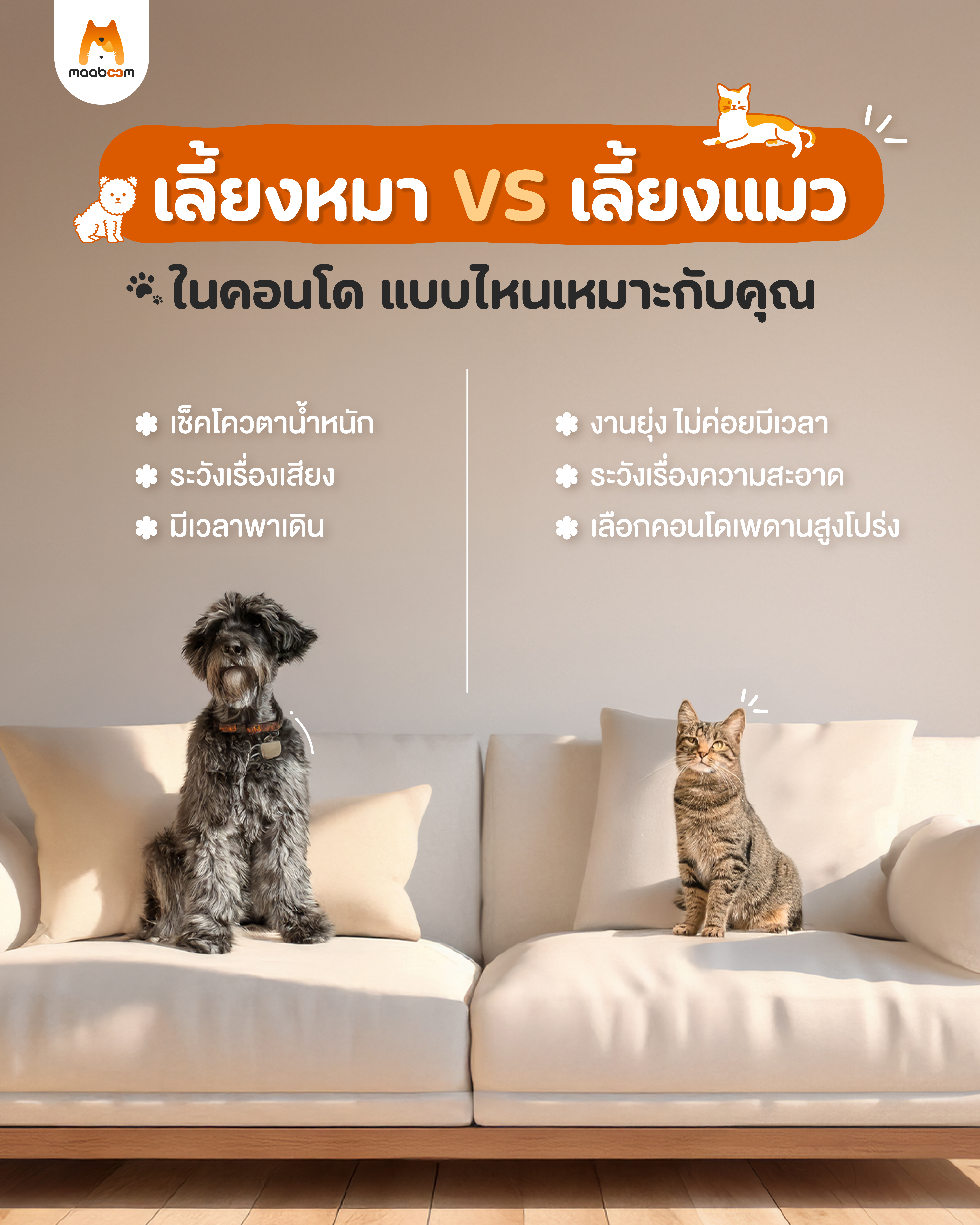 เลี้ยงหมา VS เลี้ยงแมว ในคอนโด