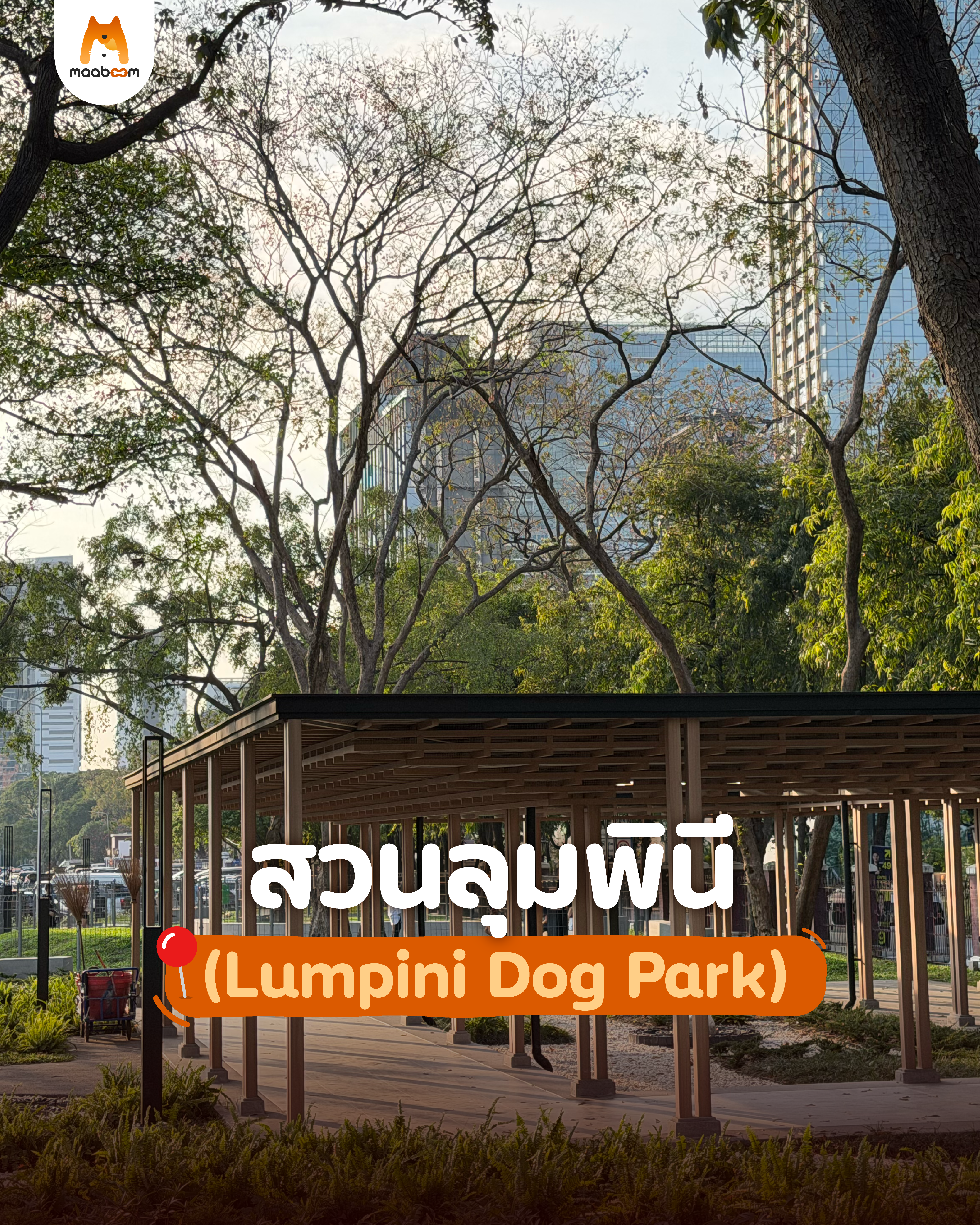 สวนลุมพินี (Lumpini Dog Park) 