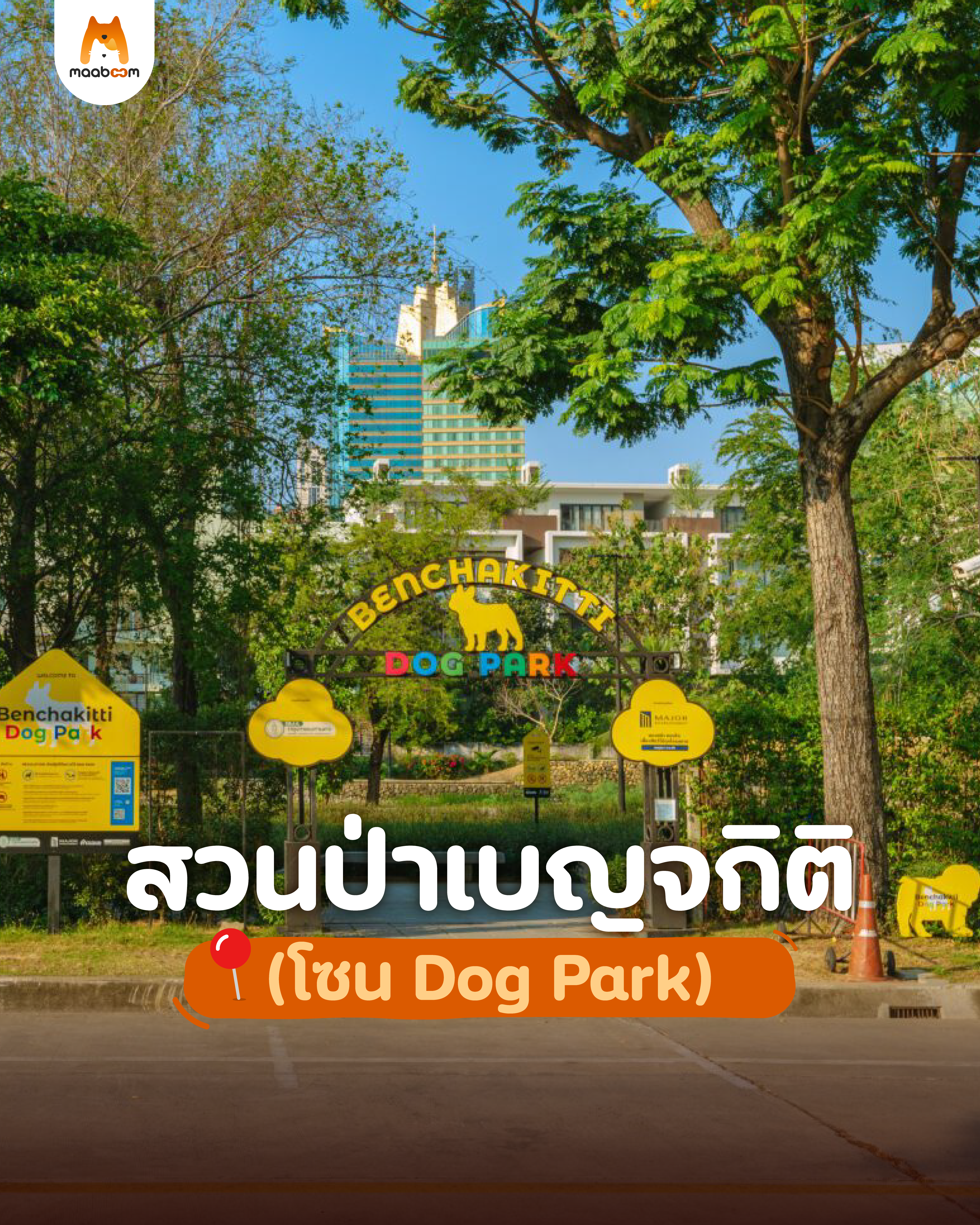 สวนป่าเบญจกิติ (โซน Dog Park)
