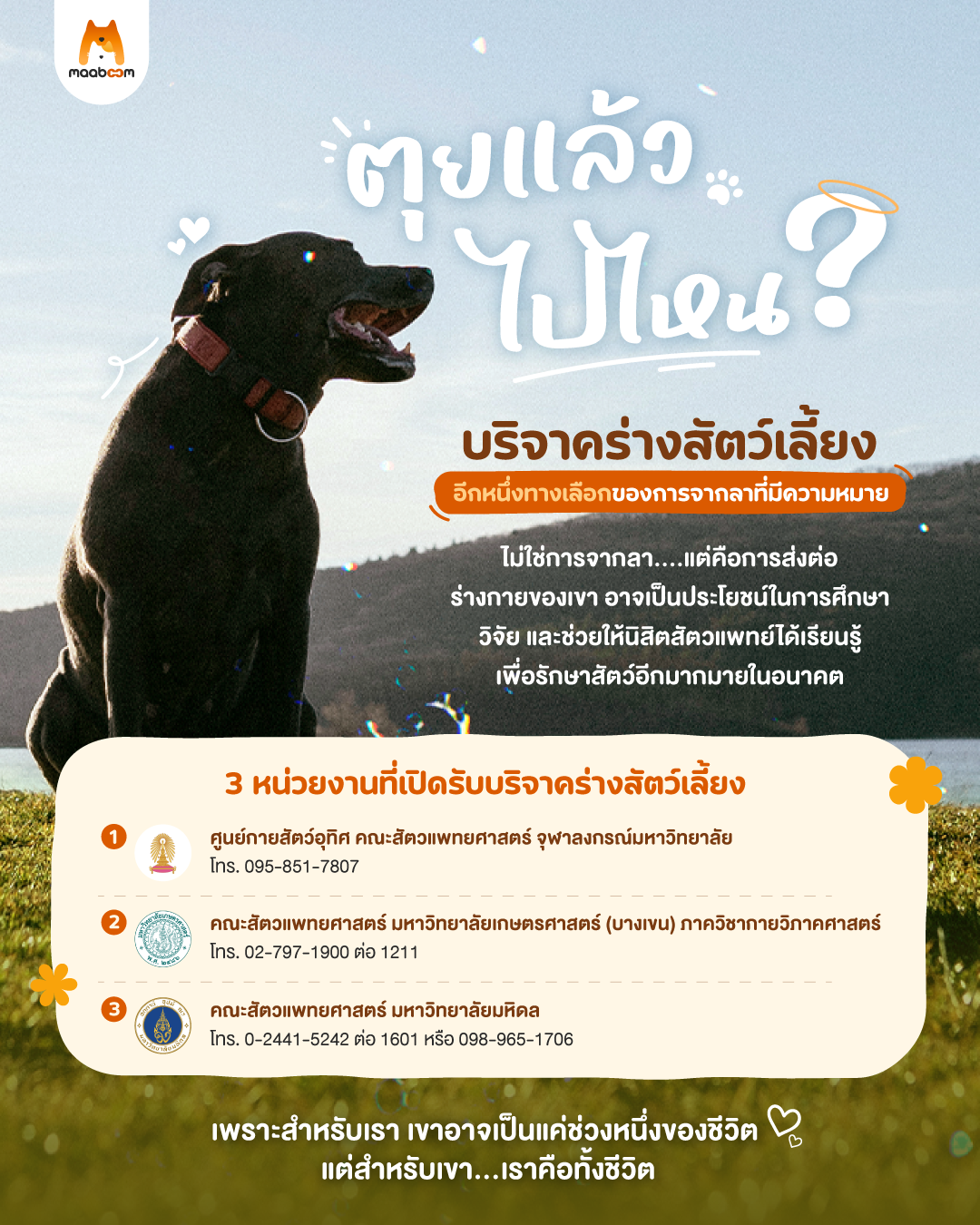 บริจาคร่างสัตว์เลี้ยง