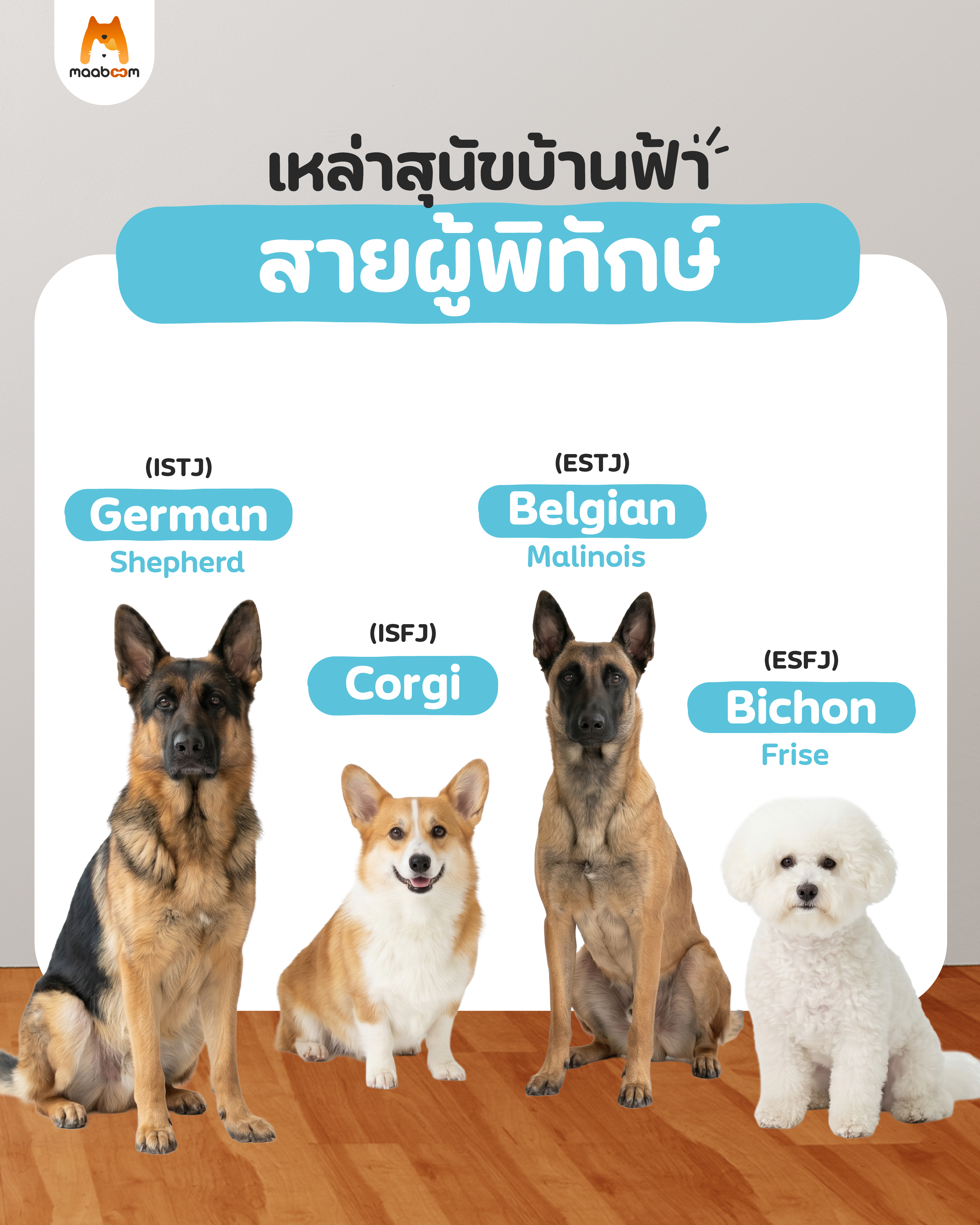 MBTI ST SF