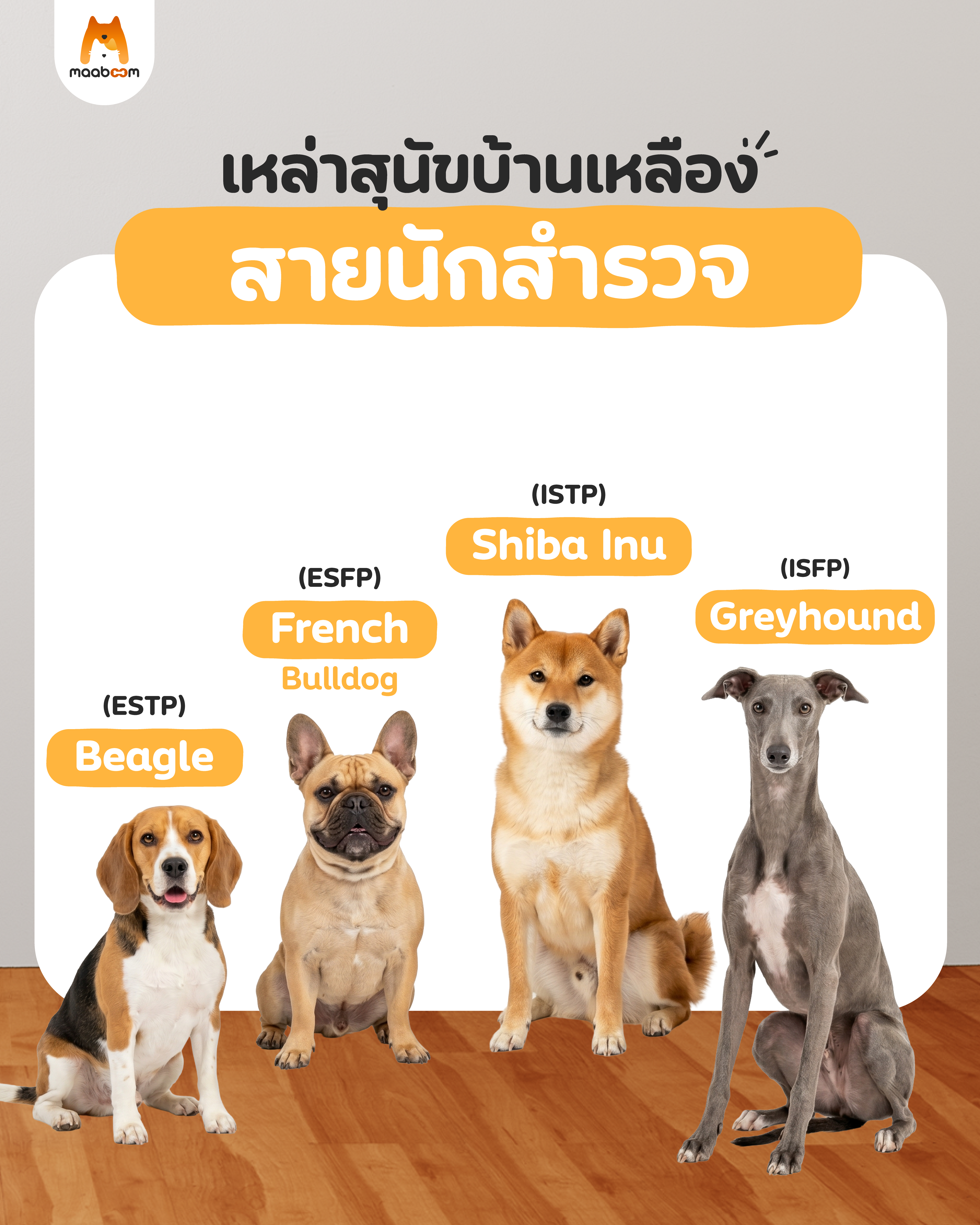 MBTI ST SF