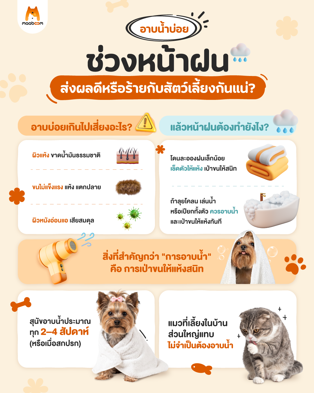 อาบน้ำบ่อยช่วงหน้าฝน