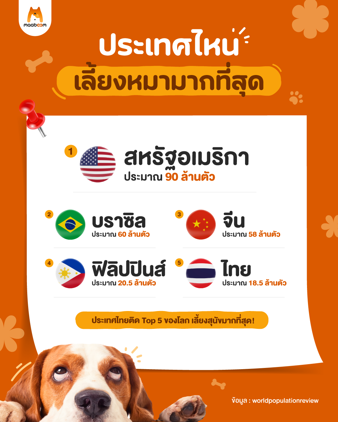 ประเทศที่เลี้ยงหมามากที่สุด?