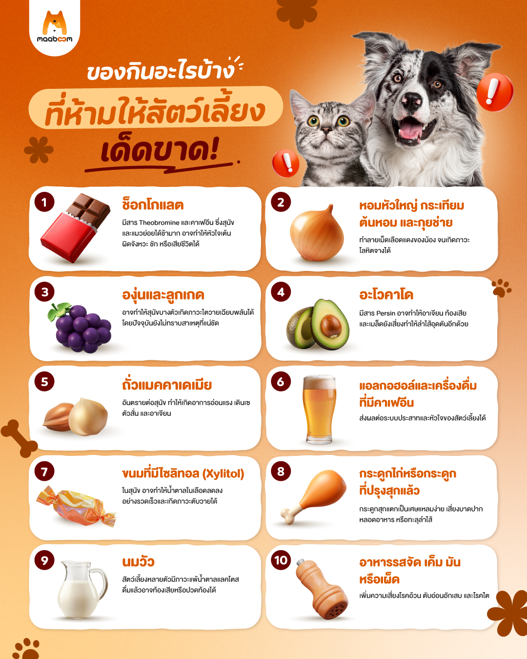 อาหารต้องห้ามสัตว์เลี้ยง