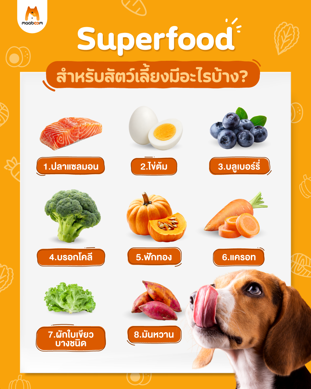 Superfood สัตว์เลี้ยง