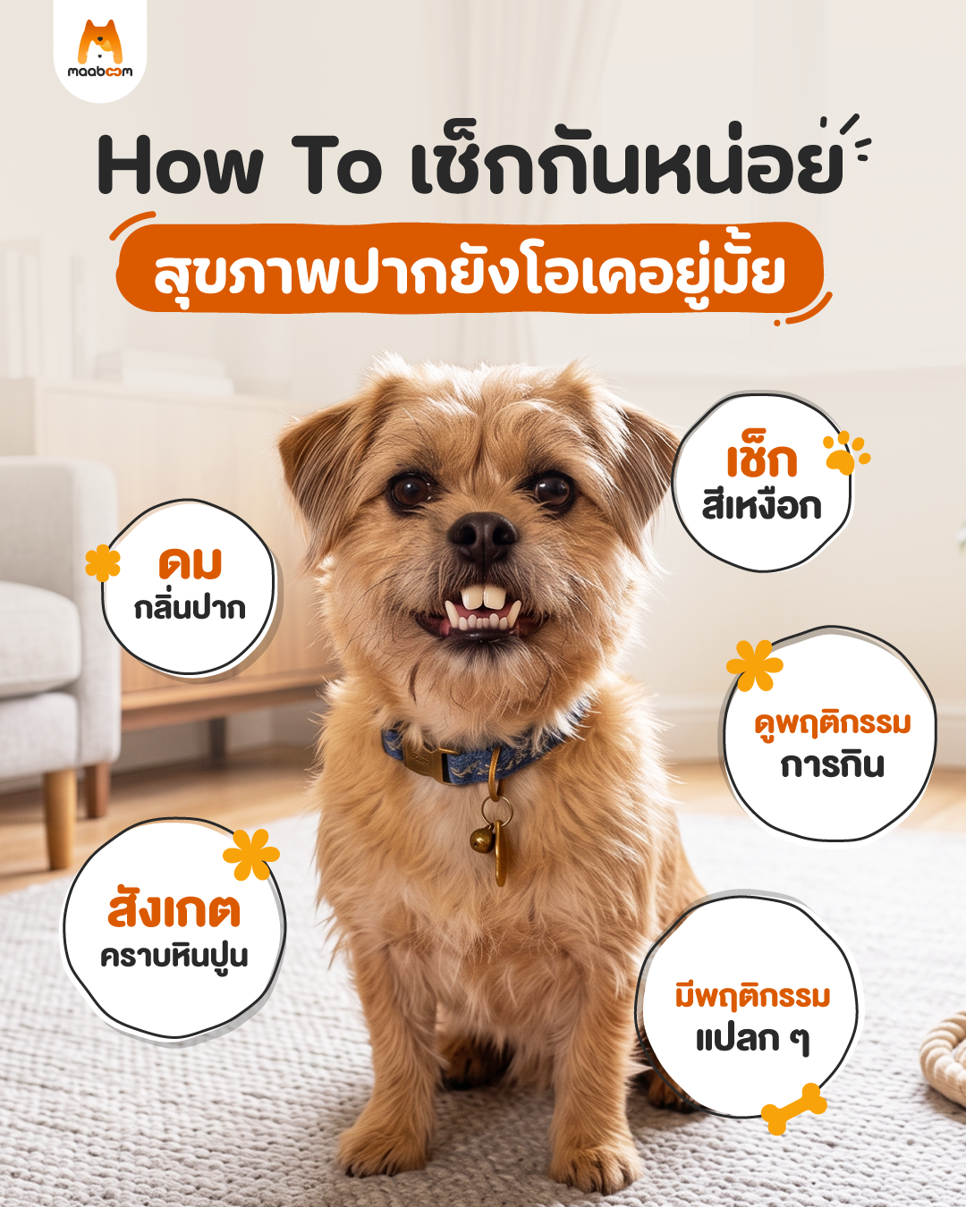 สุขภาพช่องปากสัตว์เลี้ยง