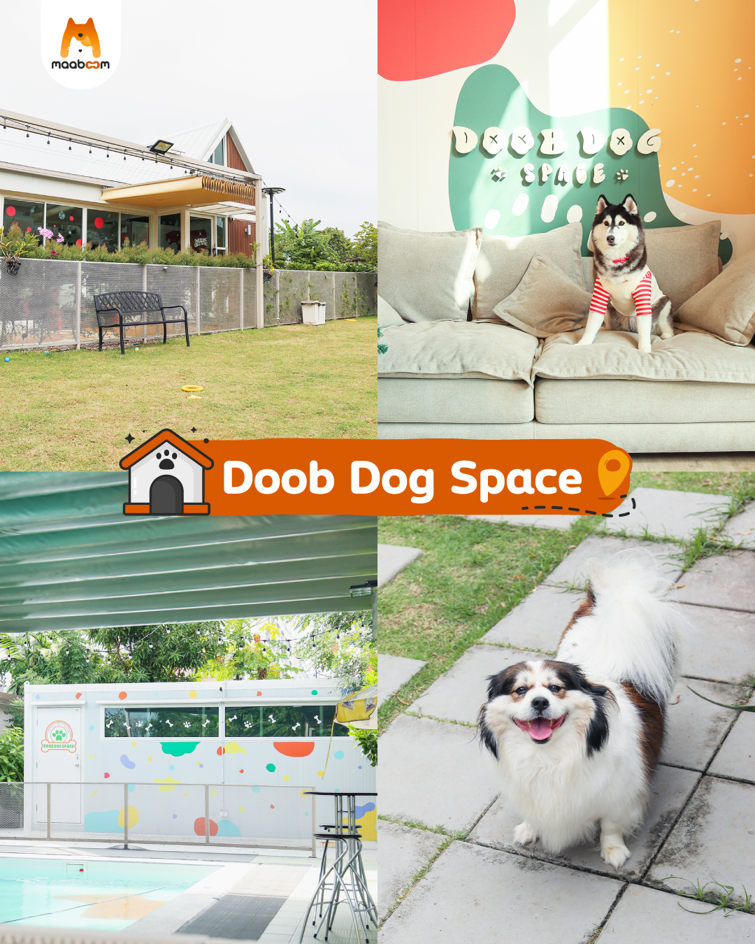 Doob Dog Space