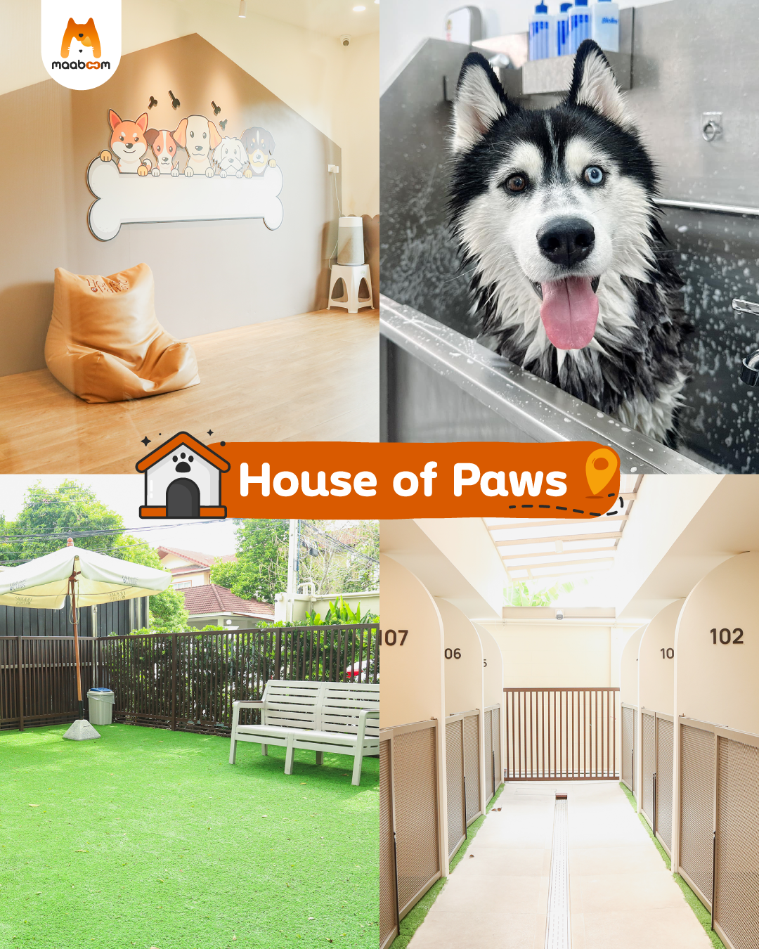 House of Paws