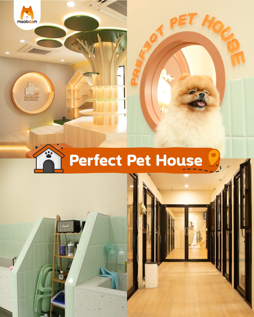 Perfect Pet House