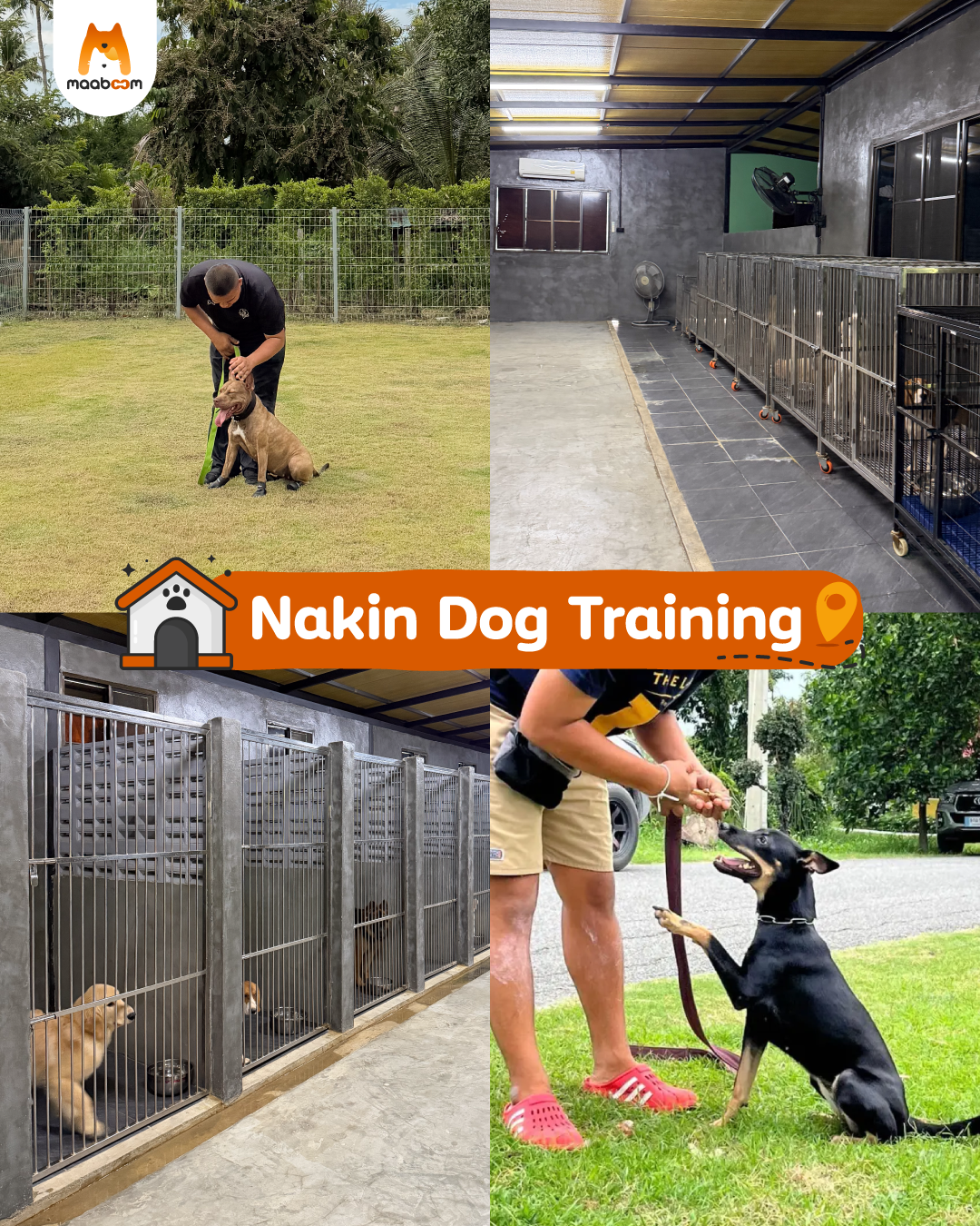 Nakin Thai Dog Training