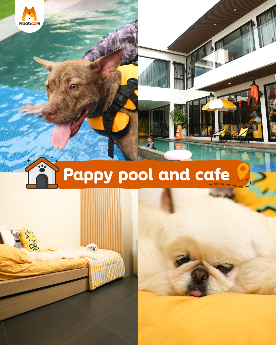 Pappy Pool and Cafe