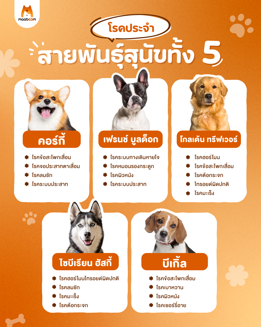 โรคประจำสายพันธุ์
