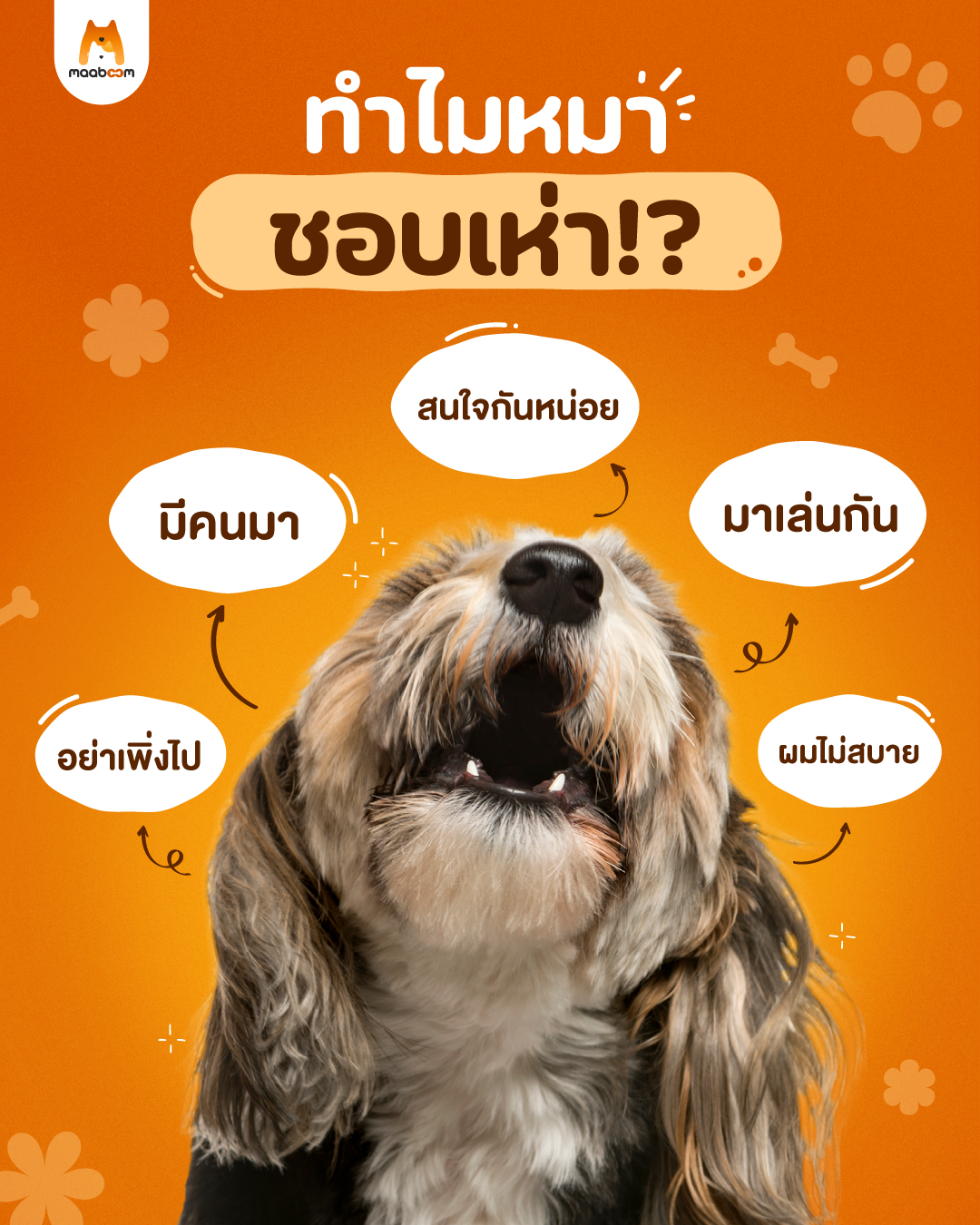 ทำไมหมาชอบเห่า
