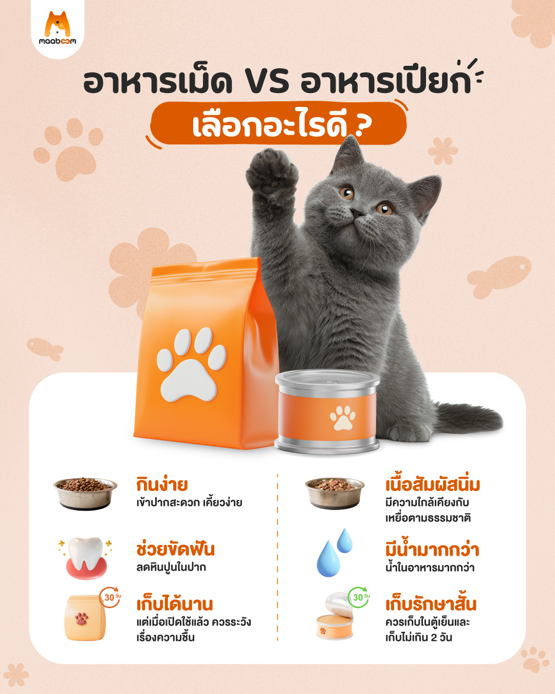 อาหารเม็ด VS อาหารเปียก