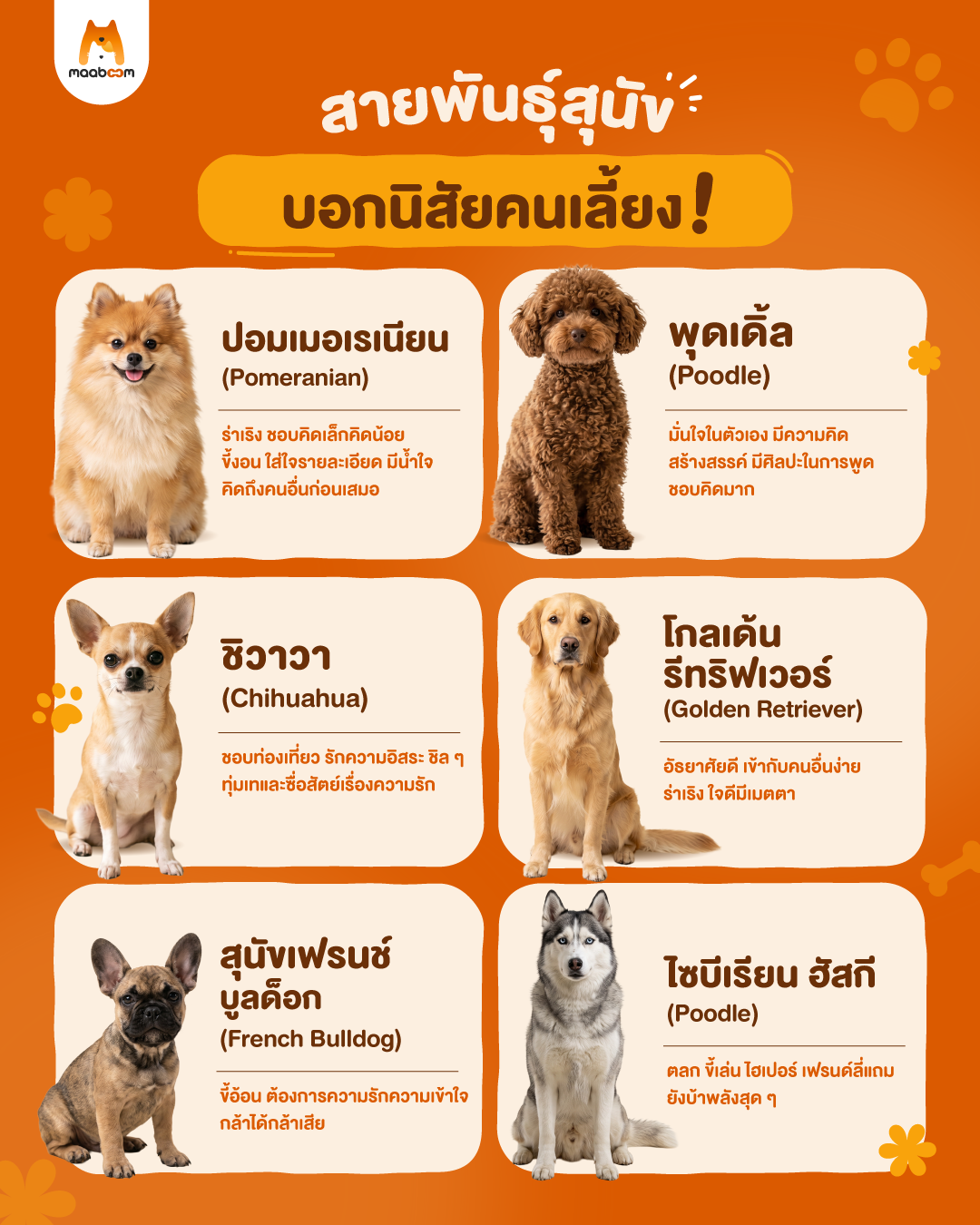 สายพันธุ์สุนัข บอกนิสัยคนเลี้ยง!