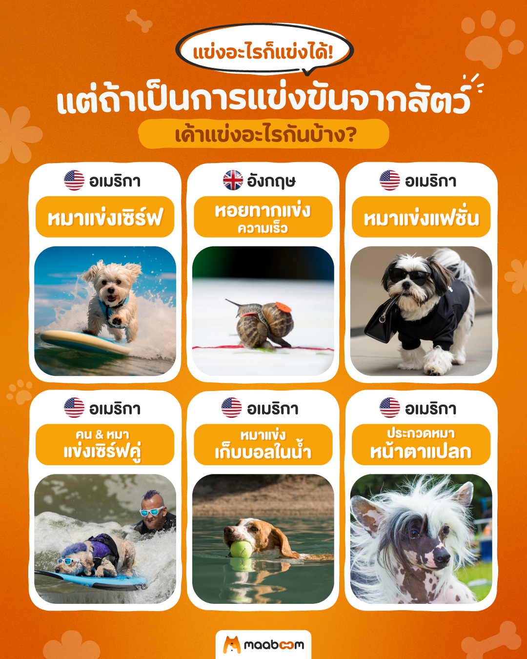 การแข่งขันสัตว์แปลก